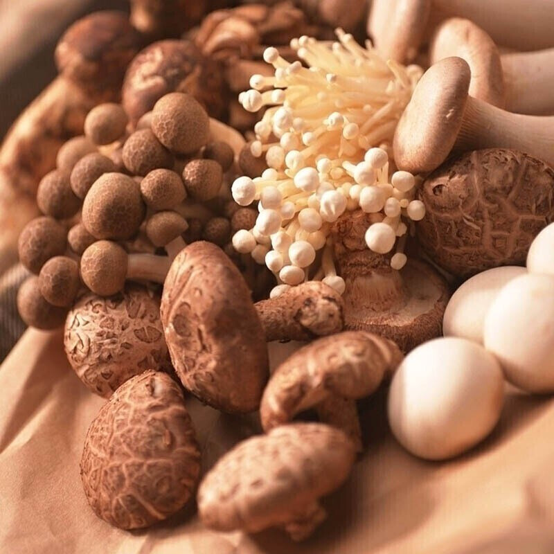 鲜品屋 山珍颂福礼盒 菌菇干菇干货1000g